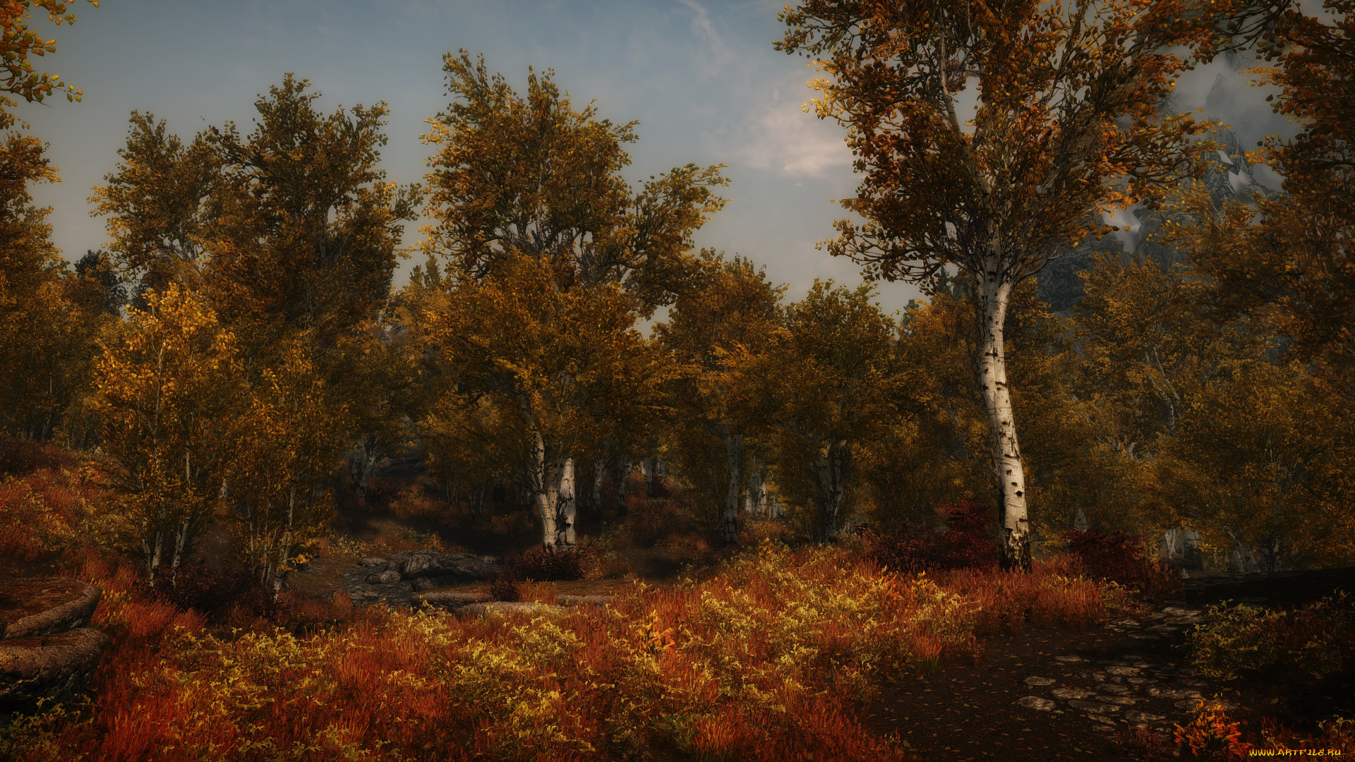 3 ,  , nature, , 